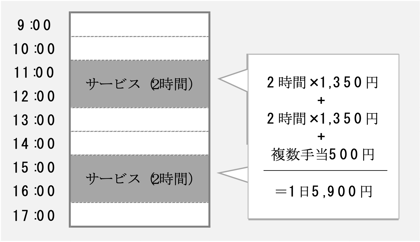 ２時間のサービスを１日に２件行う。(１件の場合もあります)