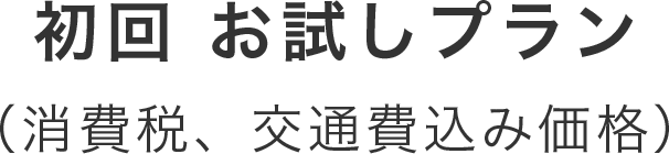 初回 お試しプラン（消費税、交通費込み価格）