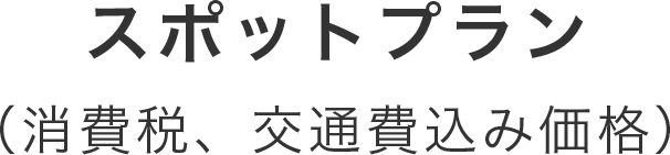スポットプラン（消費税、交通費込み価格）
